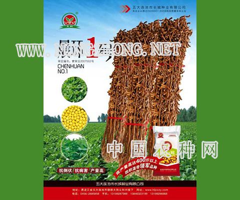 晨环1号大豆种子